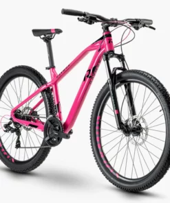 RAYMON SixRay 1.0 2022