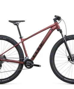 Cube Access WS Pro 2022