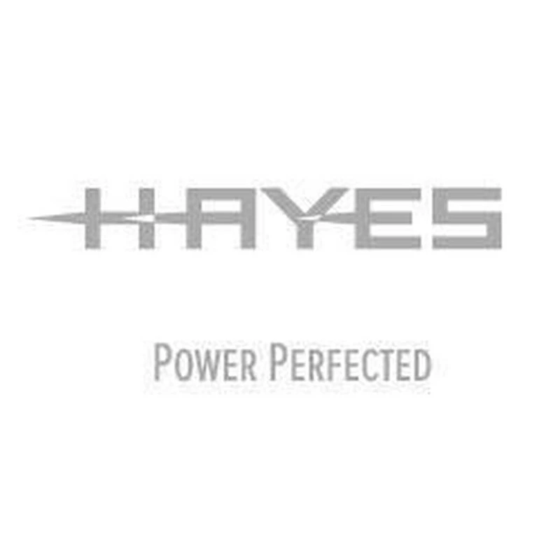 Hayes Brakes Rebuild Kit Dominion A4 2 Hayes Brakes Rebuild Kit Dominion A4 – Bild 2
