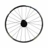 Mustang Hinterrad 24x1.50, 24L. 8 Speed Schwarz