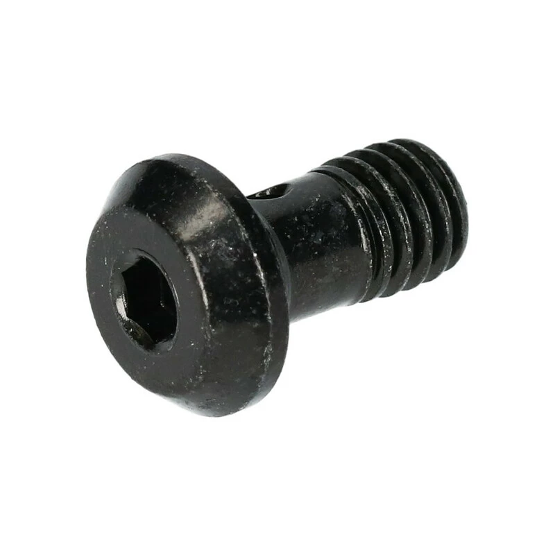 Shimano Banjo-Schraube BRM8100 1 Shimano Banjo-Schraube BRM8100