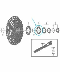 Shimano Zahnkranz CS-M9100-12 14 Z&auml;hne